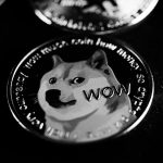 image_645.jpg