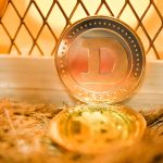 Как выбрать криптовалютный кошелек и обменник для безопасных инвестиций picture-2278.jpg